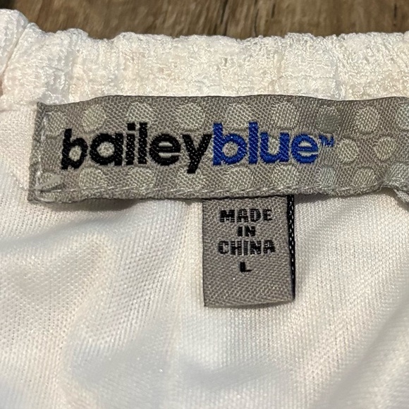 Bailey Blue White Lace Dress - Picture 3 of 9